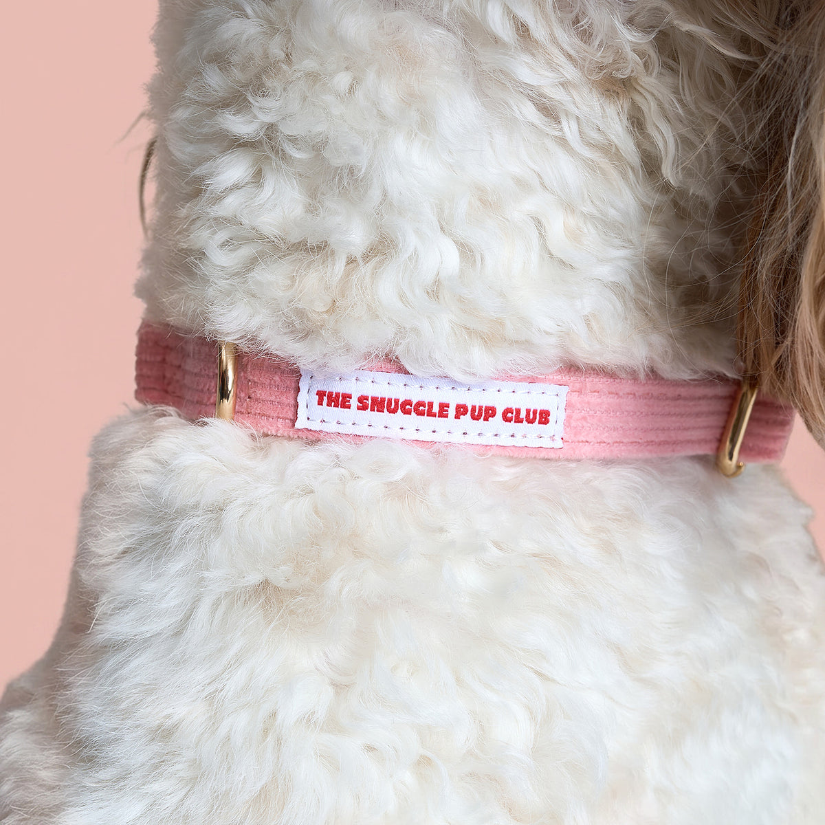 Corduroy Collar - Pink