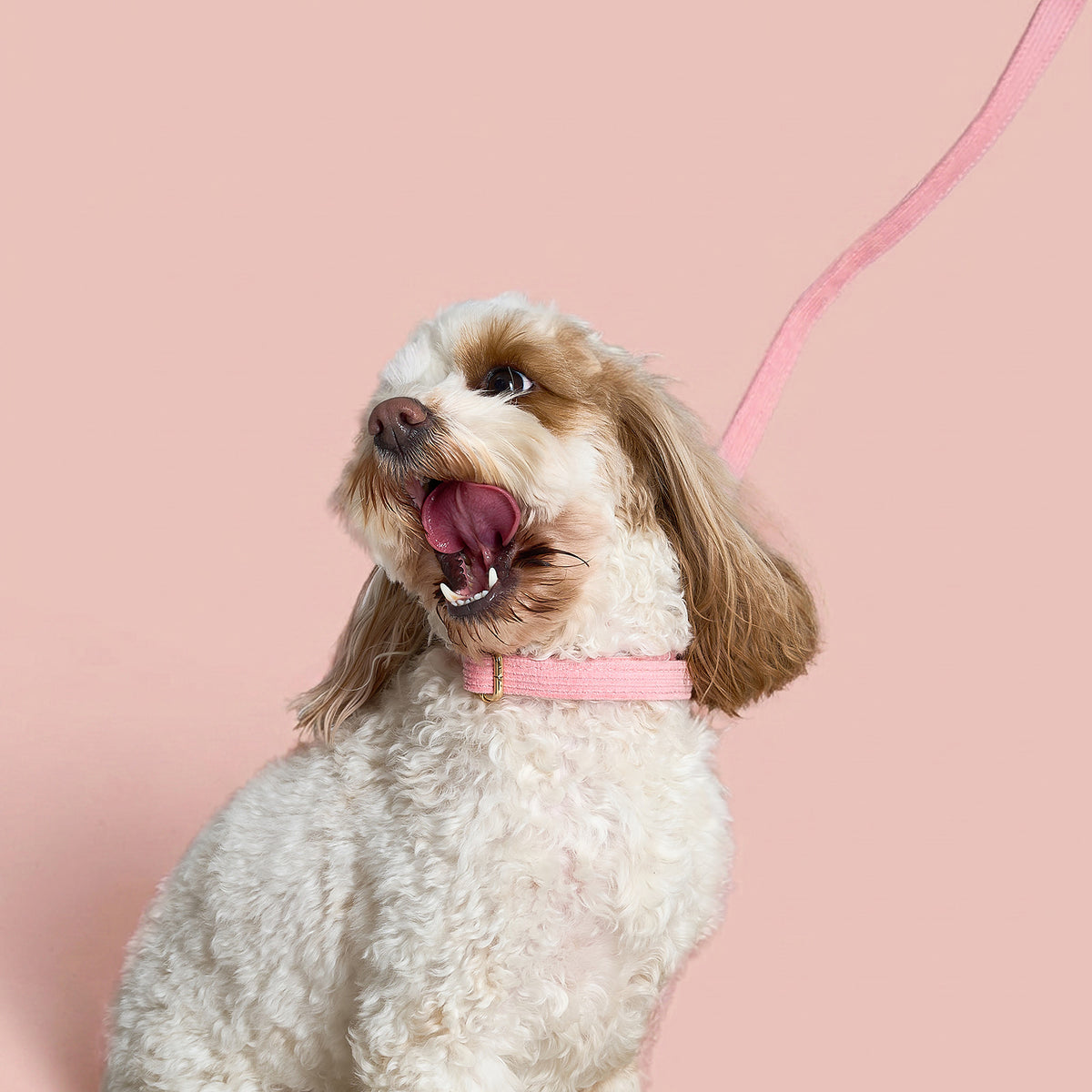 Corduroy Lead - Pink