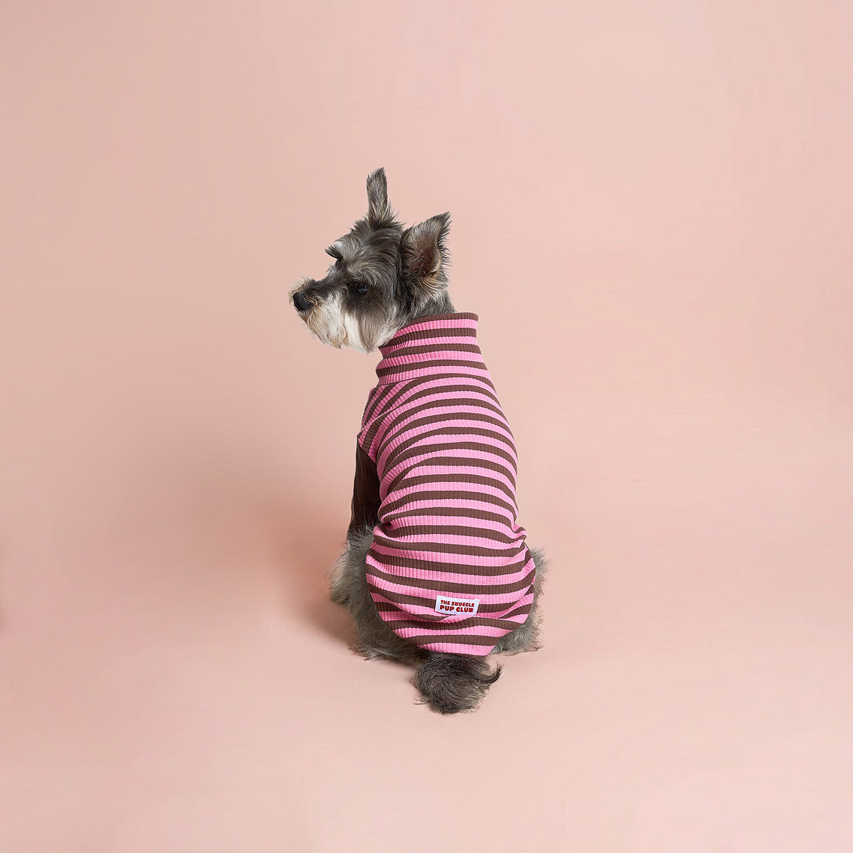 The Striped Pullover - Chocolate & Pink