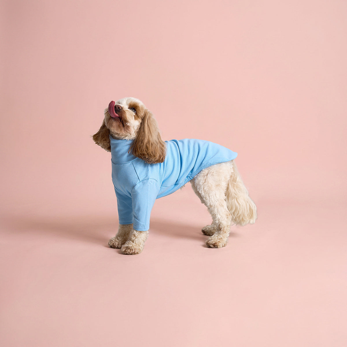 The Plain Pullover - Sky Blue