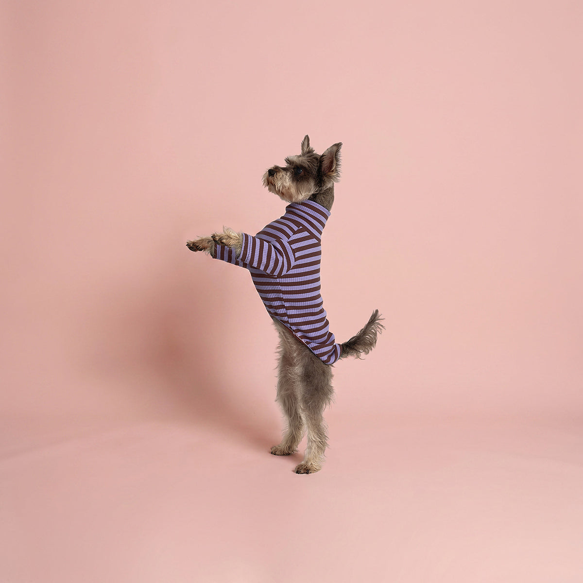 The Striped Pullover - Chocolate & Lilac