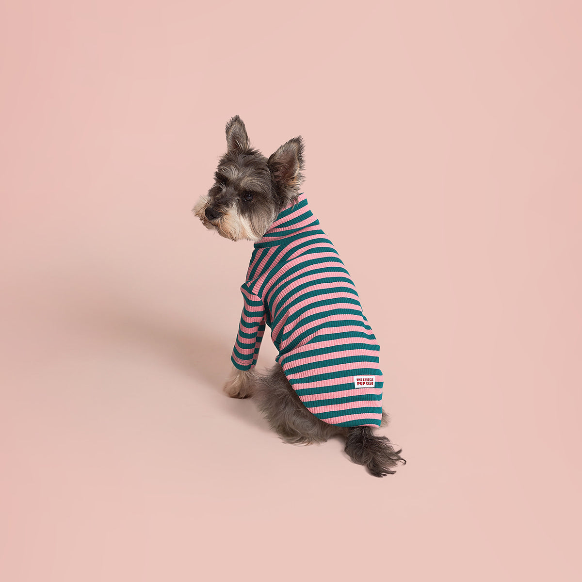The Striped Pullover - Pink & Green