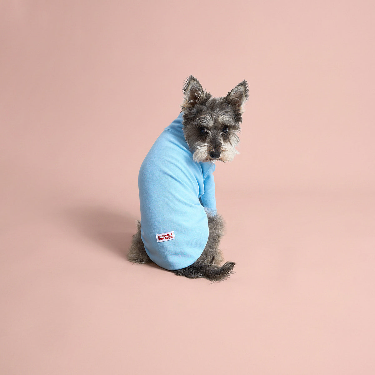 The Plain Pullover - Sky Blue