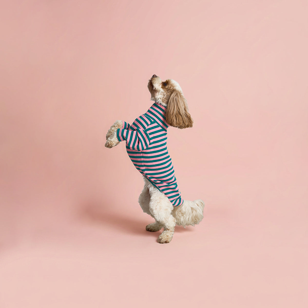 The Striped Pullover - Pink & Green