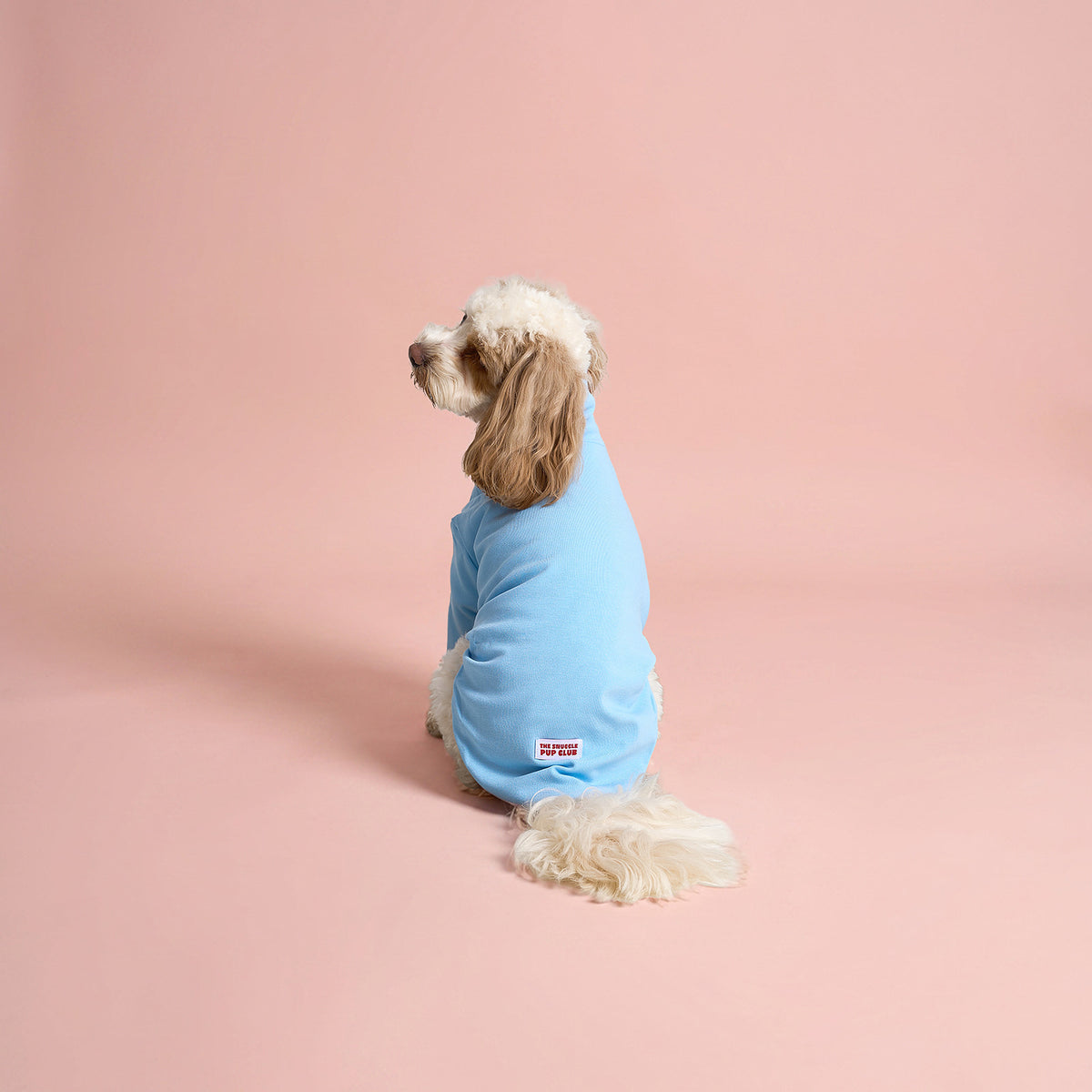 The Plain Pullover - Sky Blue