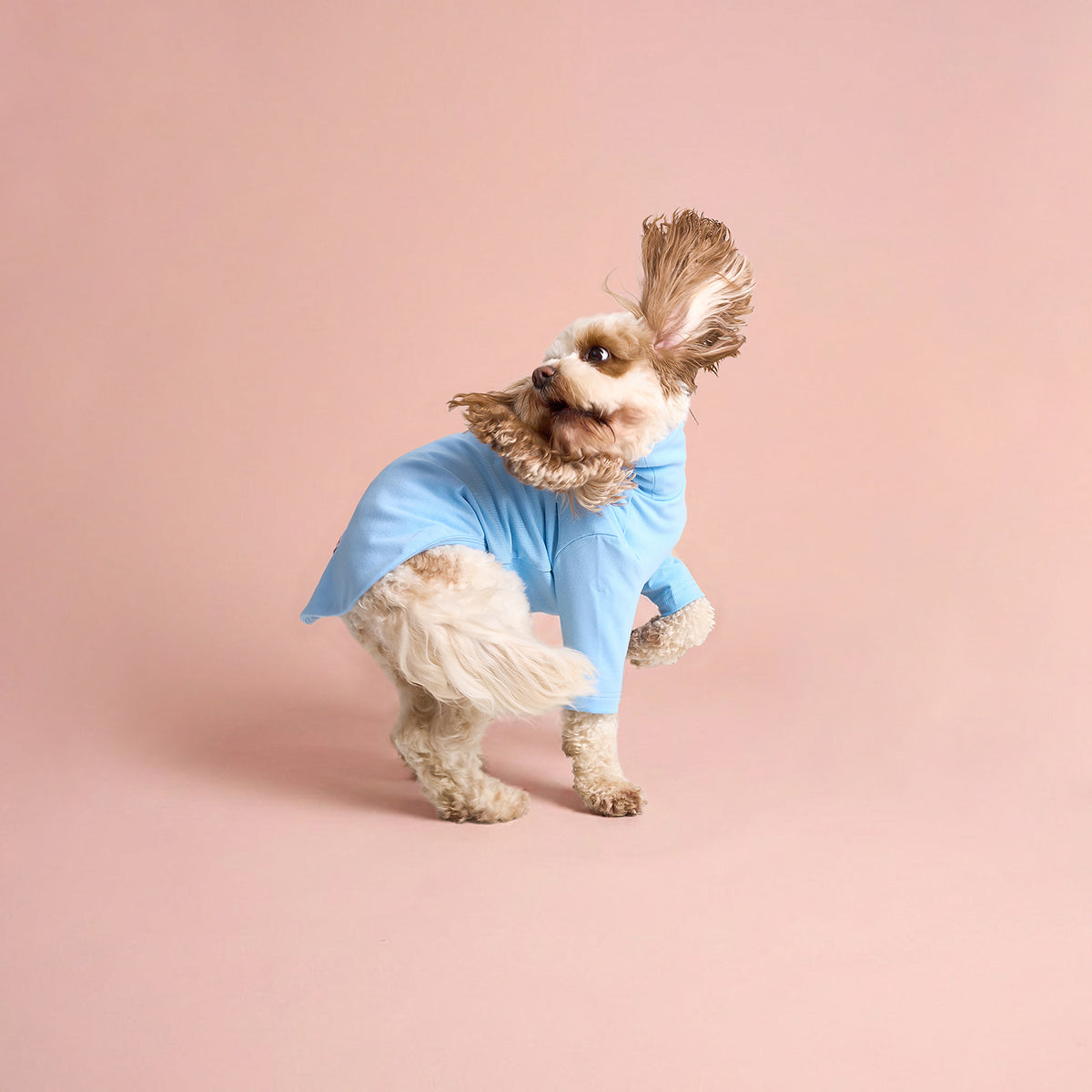 The Plain Pullover - Sky Blue
